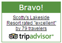 Trip Advisor Rating